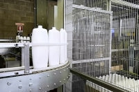 Automatic Trays Packers