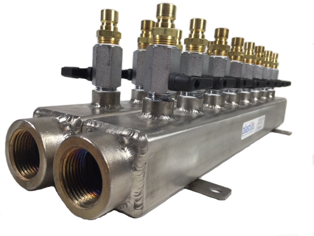 Compact Stainless Steel Manifold Assemblies with Mini Brass Ball Valves