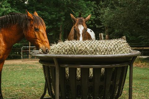 Equine Hay Basket Kit (Basket Sold Separately)